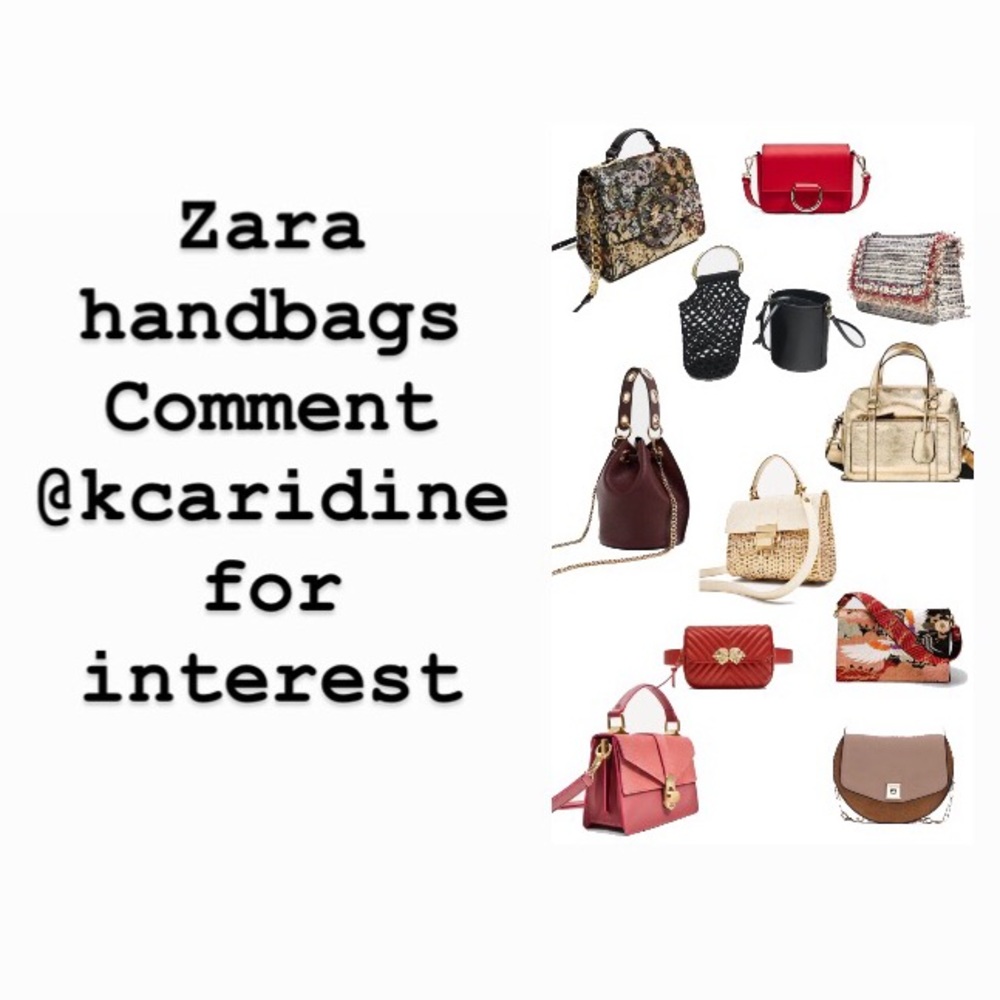 Zara Handbags